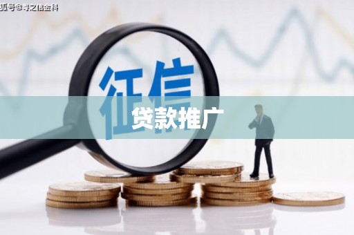 聂荣贷款推广