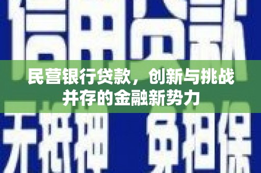 江海民营银行贷款，创新与挑战并存的金融新势力