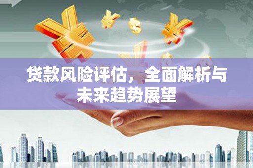 阿里贷款风险评估，全面解析与未来趋势展望