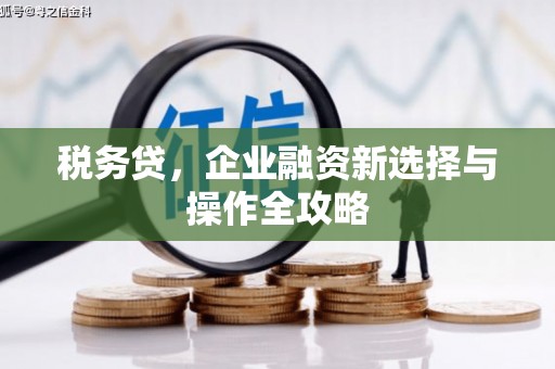 民雄税务贷，企业融资新选择与操作全攻略
