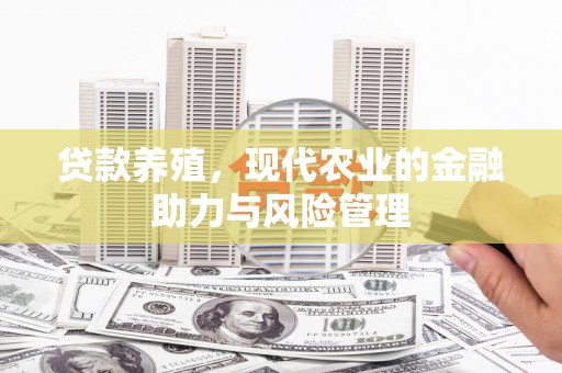 秦淮贷款养殖，现代农业的金融助力与风险管理