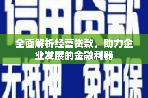 观音全面解析经营贷款，助力企业发展的金融利器