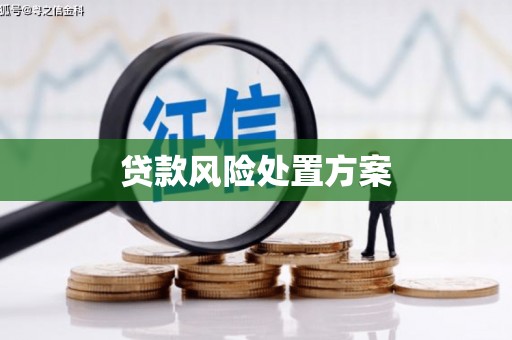 浦江贷款风险处置方案