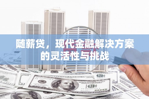 金安随薪贷，现代金融解决方案的灵活性与挑战