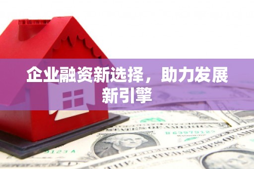 新埤企业融资新选择，助力发展新引擎