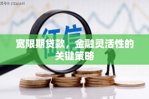 共和宽限期贷款，金融灵活性的关键策略