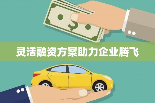 正宁灵活融资方案助力企业腾飞