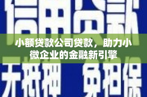 花莲小额贷款公司贷款，助力小微企业的金融新引擎