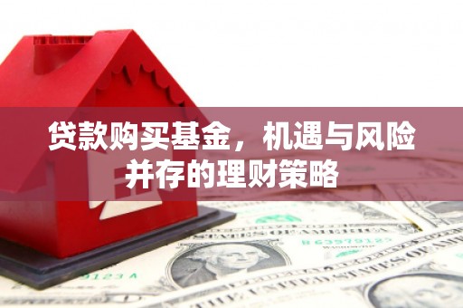 兴宾贷款购买基金，机遇与风险并存的理财策略