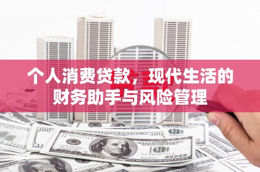 海陵个人消费贷款，现代生活的财务助手与风险管理