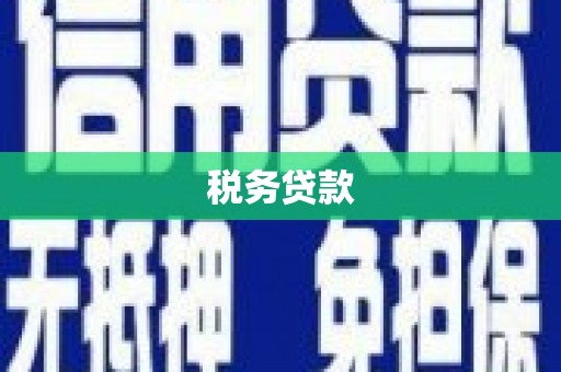 历城税务贷款