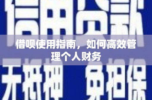 南岳借呗使用指南，如何高效管理个人财务