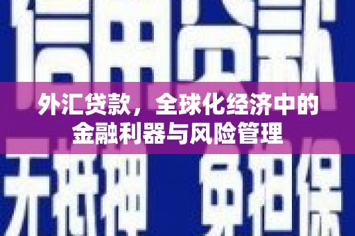 佳木斯外汇贷款，全球化经济中的金融利器与风险管理