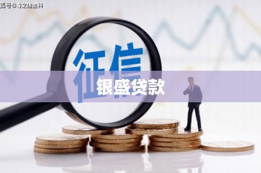 广水银盛贷款