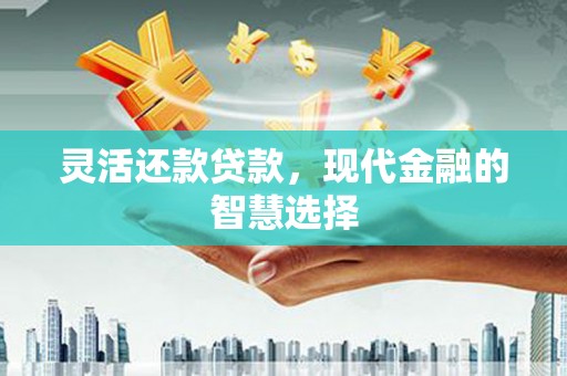 项城灵活还款贷款，现代金融的智慧选择
