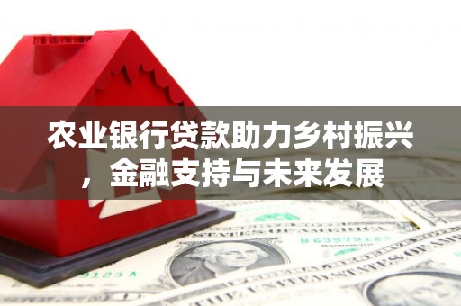勉县农业银行贷款助力乡村振兴，金融支持与未来发展