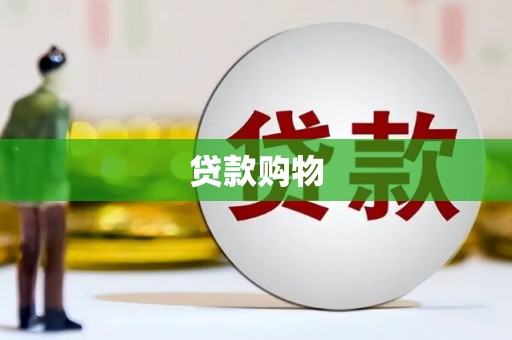 小金贷款购物