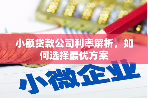 金阳小额贷款公司利率解析，如何选择最优方案