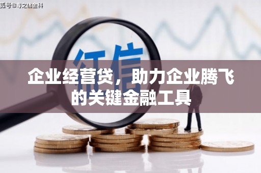 芦洲企业经营贷，助力企业腾飞的关键金融工具