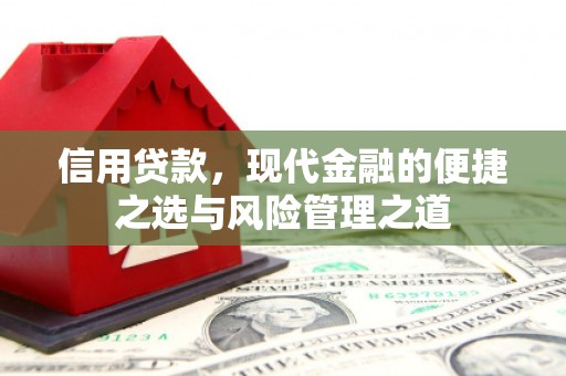 新河信用贷款，现代金融的便捷之选与风险管理之道