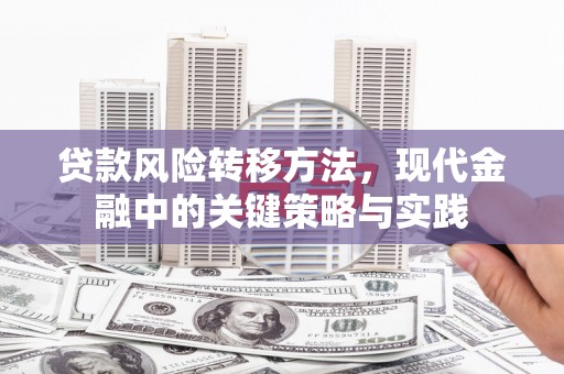三湾贷款风险转移方法，现代金融中的关键策略与实践