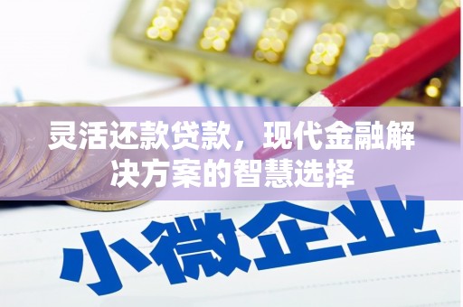 浑源灵活还款贷款，现代金融解决方案的智慧选择