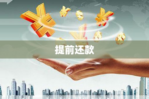 山上提前还款