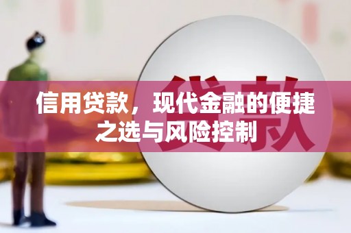 全州信用贷款，现代金融的便捷之选与风险控制