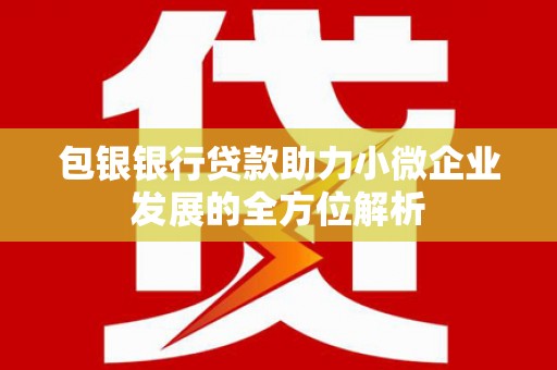 朱家尖包银银行贷款助力小微企业发展的全方位解析