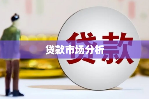 隆子贷款市场分析
