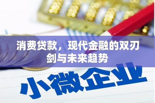 小港消费贷款，现代金融的双刃剑与未来趋势