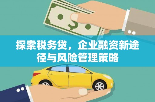 南丹探索税务贷，企业融资新途径与风险管理策略