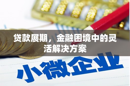 镇赉贷款展期，金融困境中的灵活解决方案