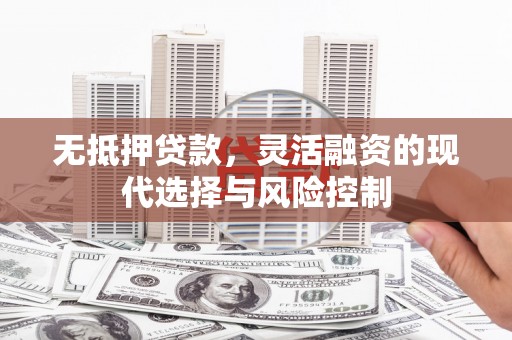 临海无抵押贷款，灵活融资的现代选择与风险控制
