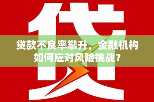 大冶贷款不良率攀升，金融机构如何应对风险挑战？