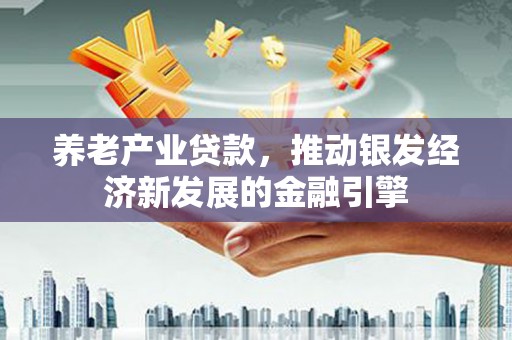 巴塘养老产业贷款，推动银发经济新发展的金融引擎