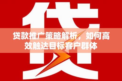 西畴贷款推广策略解析，如何高效触达目标客户群体