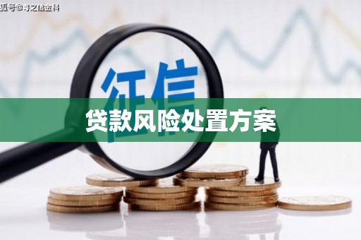 林甸贷款风险处置方案