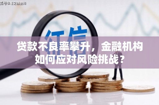 二连浩特贷款不良率攀升，金融机构如何应对风险挑战？