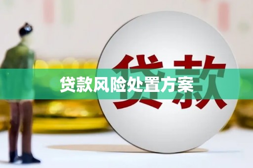 北竿贷款风险处置方案