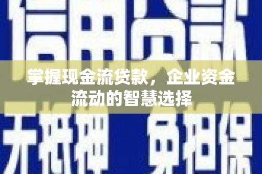 禅城掌握现金流贷款，企业资金流动的智慧选择