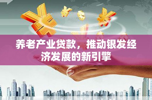 大甲养老产业贷款，推动银发经济发展的新引擎