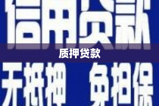 攀枝花质押贷款