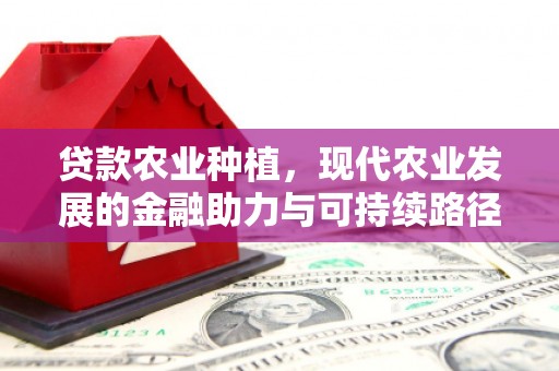 米东贷款农业种植，现代农业发展的金融助力与可持续路径