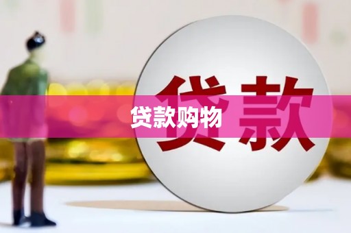 九原贷款购物