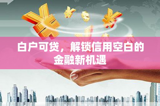 振兴白户可贷，解锁信用空白的金融新机遇