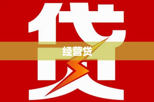 楠西经营贷