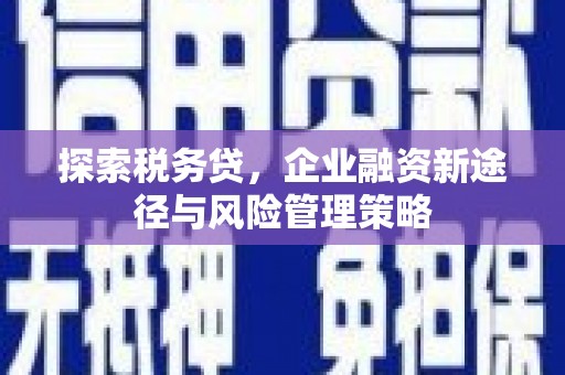 瑞芳探索税务贷，企业融资新途径与风险管理策略