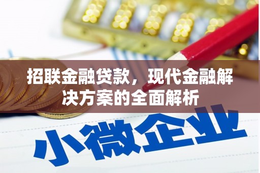林芝招联金融贷款，现代金融解决方案的全面解析