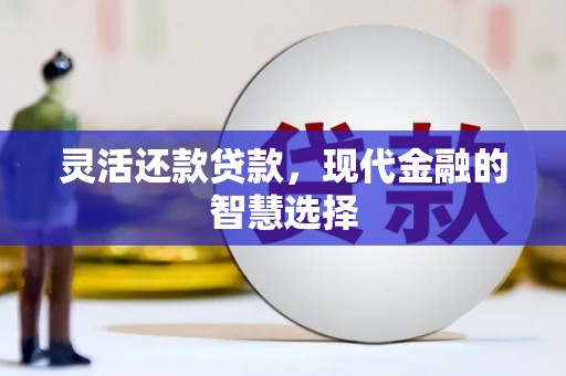 苏家屯灵活还款贷款，现代金融的智慧选择